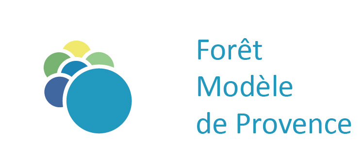 Logo-Foret-Modele-740×296