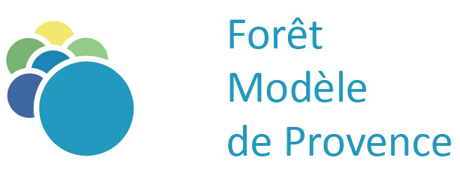 cropped-cropped-Logo-Foret-Modele-740x296-1.png