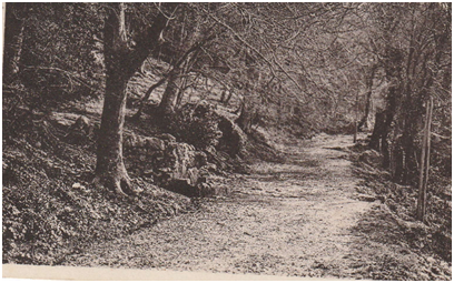 Montée vers la grotte.