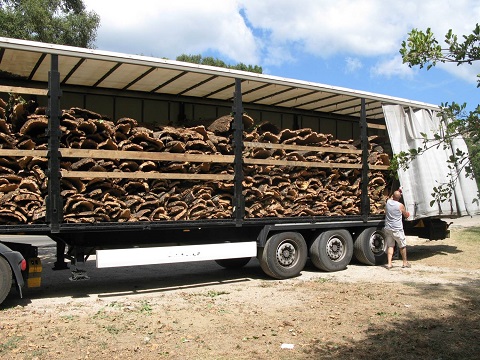 Un camion rempli de liège