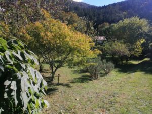 Forêt_Modèle_de_Provence_Forest'ED_2021_436