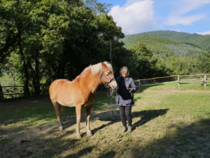 Forêt_Modèle_de_Provence_Week_end_du_chêne_liège_2021_328