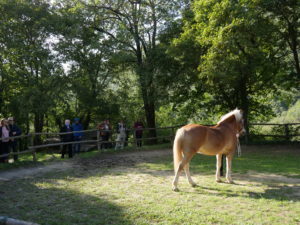 Forêt_Modèle_de_Provence_Week_end_du_chêne_liège_2021_331