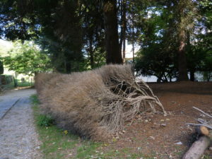 Forêt_Modèle_de_Provence_Week_end_du_chêne_liège_2021_388