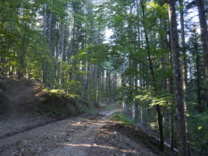 Forêt_Modèle_de_Provence_Week_end_du_chêne_liège_2021_412