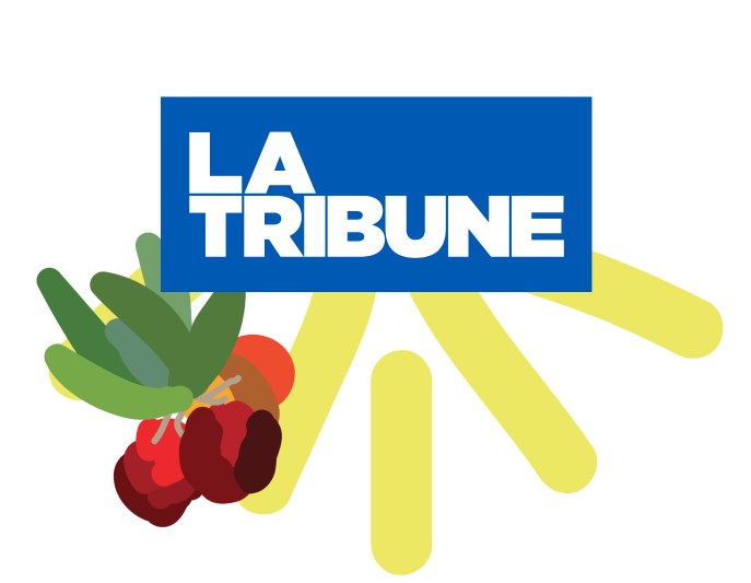 La_Tribune_journal_économique_Forêt_Modèle_Arbousier