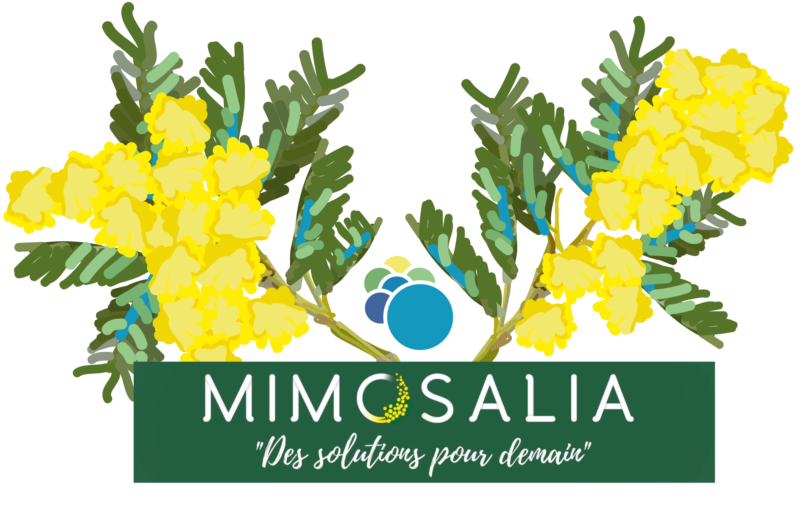 Mimosalia_Foret_modele_de_Provence_Bormes_les_mimosas_conférence