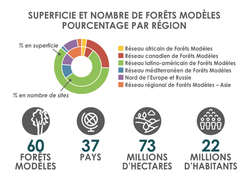 Forêt_Modèle_de_Provence_Forest-ED-2022-Portugal-RFMI6