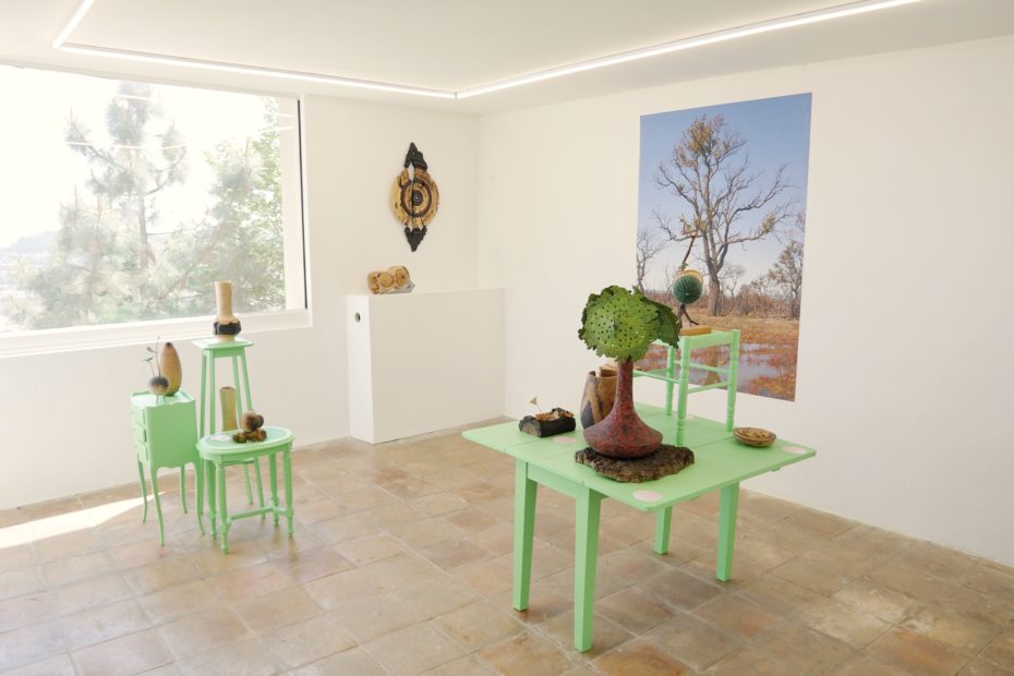 Quercus_suber_concours_2022_Foret_modele_provence_villa_noailles (20)