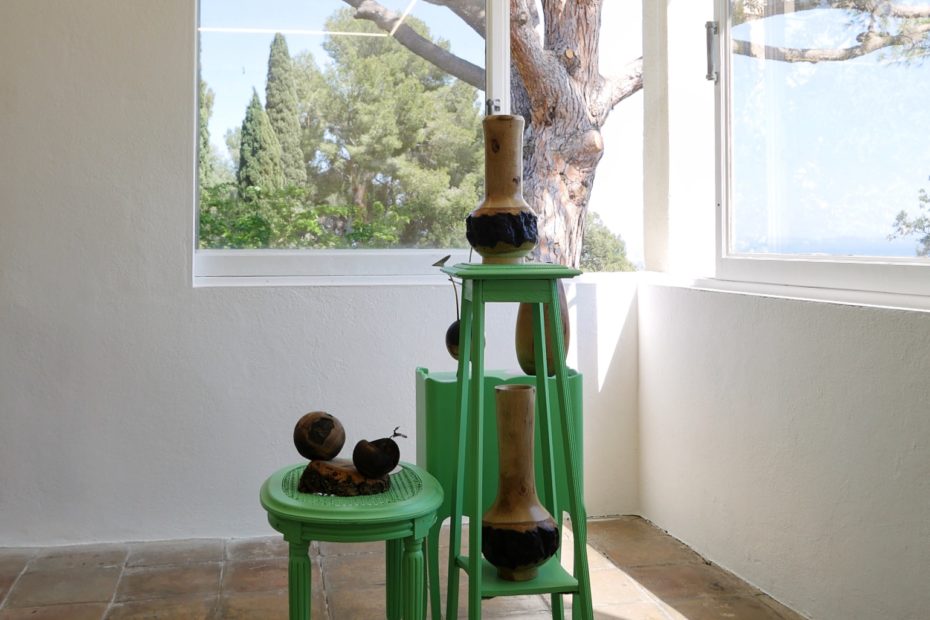 Quercus_suber_concours_2022_Foret_modele_provence_villa_noailles (29)