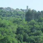 Motovun_Dave (2)