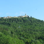 Motovun_Dave (7)