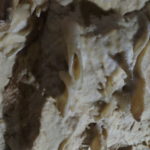 Mramornica Cave_Dave (32)