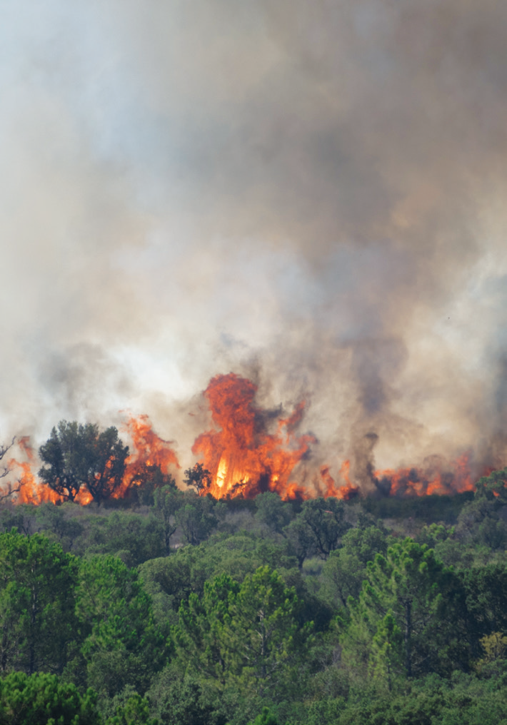 2022_07 LutteIncendieAvantPendantIncendie (1) (2)