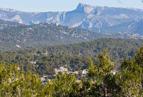 incendie-forêt-modèle-provence-prévention (1)