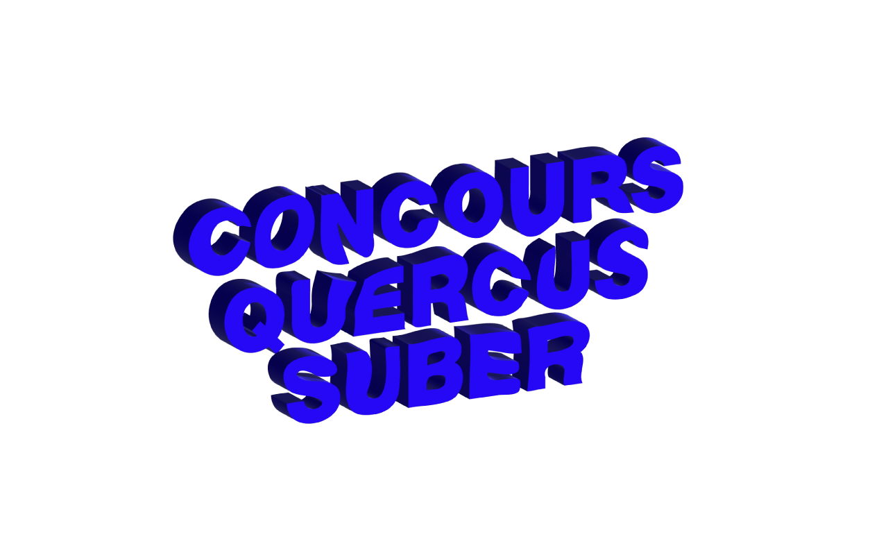 Logo-concours-Quercus-Suber-3D-transparent