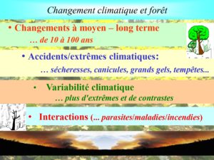 WE chêne liège La Valette 9 oct 22_page-0002