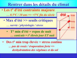 WE chêne liège La Valette 9 oct 22_page-0006