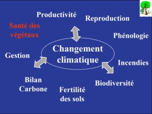 WE chêne liège La Valette 9 oct 22_page-0010