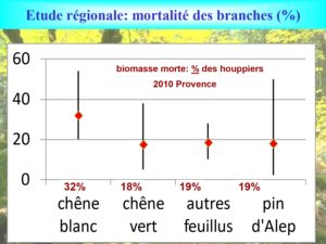 WE chêne liège La Valette 9 oct 22_page-0011