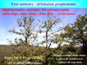 WE chêne liège La Valette 9 oct 22_page-0014