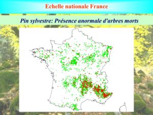 WE chêne liège La Valette 9 oct 22_page-0016