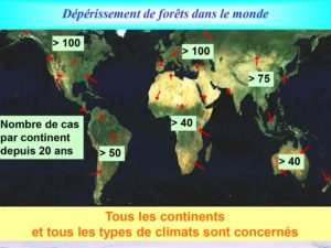 WE chêne liège La Valette 9 oct 22_page-0017