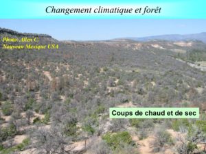 WE chêne liège La Valette 9 oct 22_page-0019