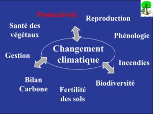 WE chêne liège La Valette 9 oct 22_page-0021