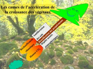 WE chêne liège La Valette 9 oct 22_page-0022