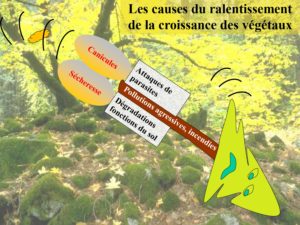 WE chêne liège La Valette 9 oct 22_page-0023