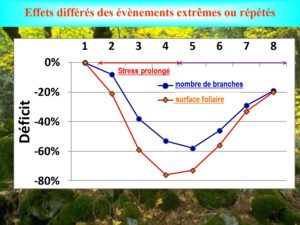 WE chêne liège La Valette 9 oct 22_page-0025