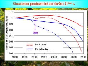 WE chêne liège La Valette 9 oct 22_page-0026