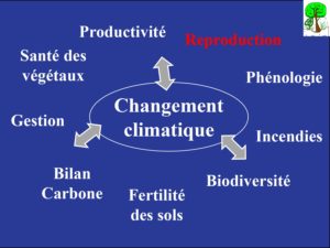 WE chêne liège La Valette 9 oct 22_page-0028