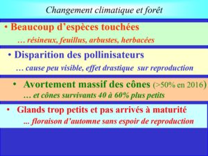 WE chêne liège La Valette 9 oct 22_page-0030