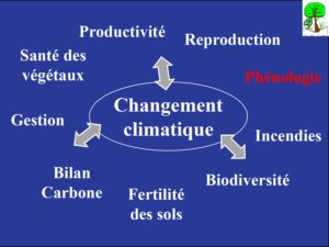 WE chêne liège La Valette 9 oct 22_page-0031
