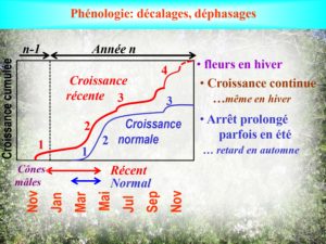 WE chêne liège La Valette 9 oct 22_page-0032
