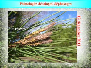 WE chêne liège La Valette 9 oct 22_page-0033