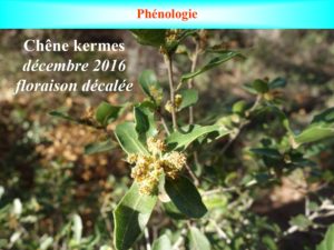 WE chêne liège La Valette 9 oct 22_page-0034