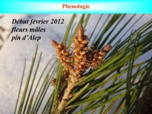 WE chêne liège La Valette 9 oct 22_page-0035