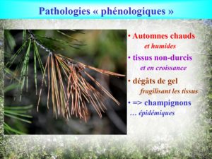 WE chêne liège La Valette 9 oct 22_page-0036