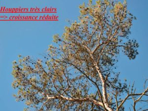 WE chêne liège La Valette 9 oct 22_page-0037