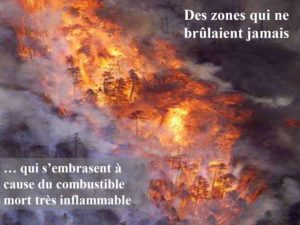 WE chêne liège La Valette 9 oct 22_page-0040