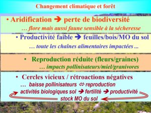 WE chêne liège La Valette 9 oct 22_page-0043