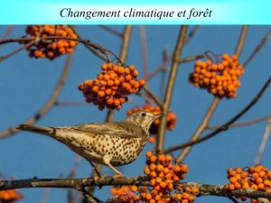 WE chêne liège La Valette 9 oct 22_page-0044