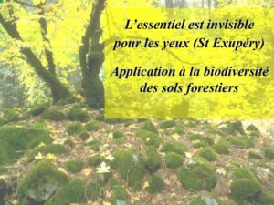 WE chêne liège La Valette 9 oct 22_page-0045