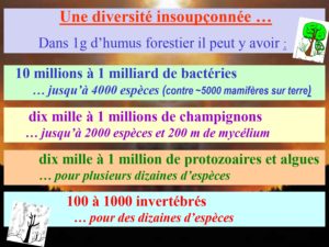 WE chêne liège La Valette 9 oct 22_page-0046