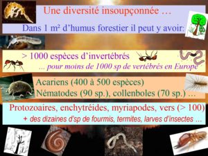 WE chêne liège La Valette 9 oct 22_page-0048