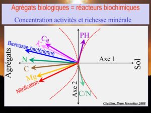 WE chêne liège La Valette 9 oct 22_page-0051