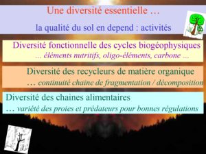 WE chêne liège La Valette 9 oct 22_page-0052